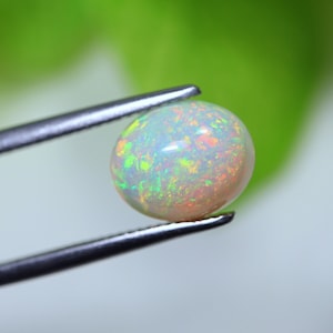 May include: An oval-shaped cabochon opal gemstone featuring a translucent white base with vibrant flashes of green, yellow, and orange play-of-color. The gemstone is held by a pair of metal tweezers, showcasing its smooth, polished, domed surface.