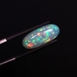 May include: An oval-shaped cabochon opal gemstone displaying a translucent white base with vibrant flashes of green, orange, and red play-of-color. The gemstone is held securely between the two dark metal tips of a pair of precision tweezers.