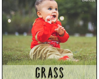 20 GRASS Overlays, Photoshop Overlays, PNG files, Photo Overlays, Photoshop Overlay, Line of Grass, Grass Clipart, Photography