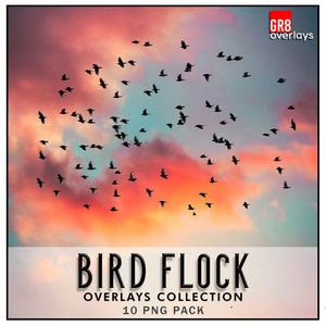 10 BIRD FLOCK Photoshop Overlays, PNG files, Photo Overlays, Photoshop Overlay, Birds Overlays, Birds Clipart, Photography