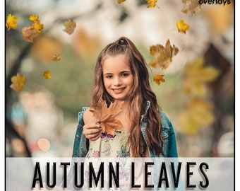 118 AUTUMN LEAVES Overlays, Photoshop Overlays, PNG, Falling Leaves, Autumn Leaf, realistic, natural look, mini session, raining leaves