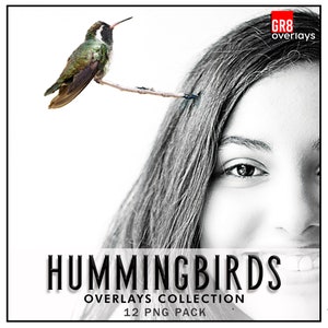HUMMINGBIRDS Overlays, Photoshop Overlays, Hummingbirds, Birds, Outdoors Photography, Garden, Spring, animal, beautiful