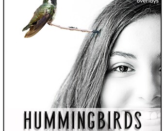 HUMMINGBIRDS Overlays, Photoshop Overlays, Hummingbirds, Birds, Outdoors Photography, Garden, Spring, animal, beautiful