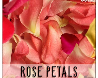 May include: A close-up image of a pile of soft, pink and white rose petals. The petals are arranged in a random pattern, creating a beautiful and delicate texture. The image is perfect for use as a background or overlay in digital design projects.