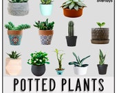12 POTTED PLANTS Overlays, PNG, Photoshop Overlays, Photoshop Overlay, Plants, Transparent Background, Instant Download, Decor