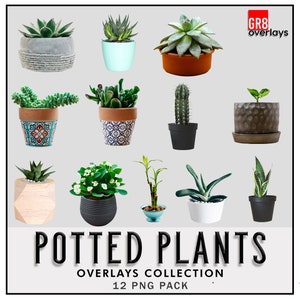12 POTPLANTEN Overlays, PNG, Photoshop Overlays, Photoshop Overlay, Planten, Transparante Achtergrond, Instant Download, Decor