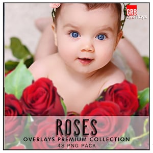 ROSES Overlays, PNG, Flowers, Rose Overlay, Photoshop Overlays, Photoshop Overlay, Flowers Overlays, Photoshop Roses