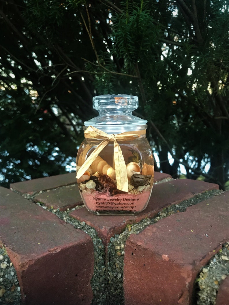 Natural Seashell Scented Candles in Apothecary Jars Peach Etsy