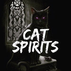 Könnte beinhalten: Eine schwarze Katze mit leuchtend violetten Augen sitzt auf einem Buch mit dem Text "Craft Salem" auf dem Einband. Die Katze befindet sich vor einem Fenster mit einem Pentagramm im Glas. Der Text "CAT SPIRITS" ist in Weiß über das Bild geschrieben.