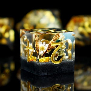 May include: A clear resin dice with a gold number "3" and dried flowers inside. The dice is sitting on a black surface.