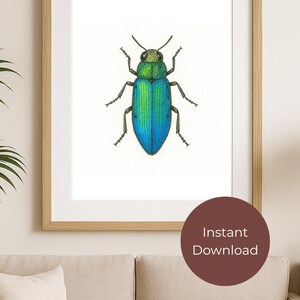 Jewel Beetle Printable Wall Art – Digital Download | Nature-Inspired Home Décor