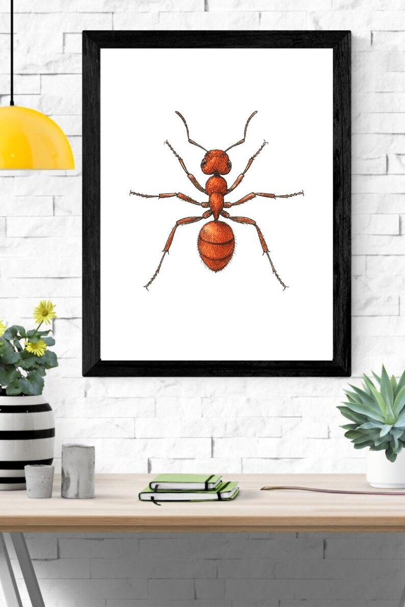 Ant Printable Wall Art – Digital Download | Nature-inspired Home Décor ...