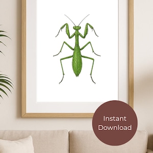 Gottesanbeterin druckbare Wandkunst - digitaler Download | Von der Natur inspiriertes Wohndekor