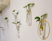 Wall Hydroponic Vase, Hanging Wall Planter, Wall Vase, Wall Hanging Planter Indoor, Glass Vase,Plant Cuttings Glass Planter,Propagation Vase