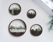 Round Hanging Planter Indoor, Wall Planter, Hanging Terrarium, Wall Vase, Wall Plant Holder,Hanging Wall Planter,Air Plants Holder Florarium