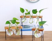 Hydroponic Office Planter on a Metal Plant Stand, Glass Vase, Glass Planter, Glass Terrarium, Water Plant Holder, Office Decor, Mini Planter
