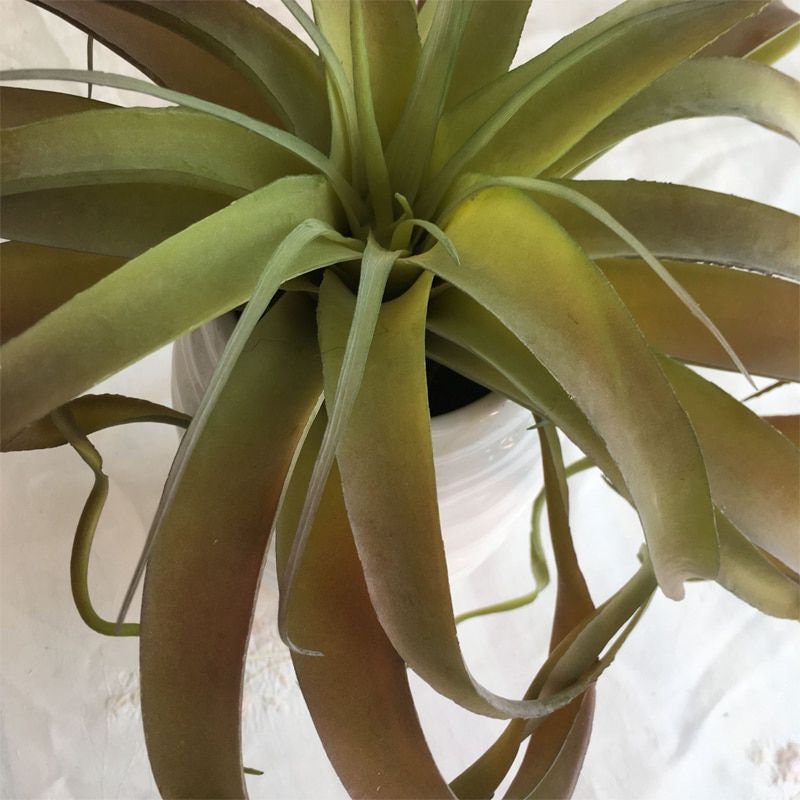 Extra Large Faux Tillandsia Artificial Air Plants Artificial Etsy