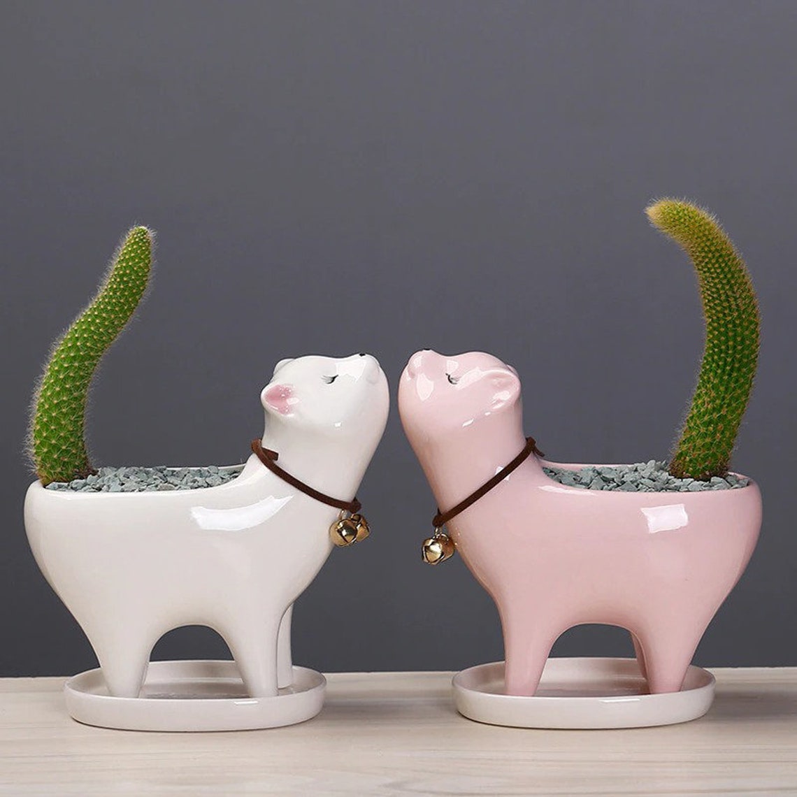 Cat Planter With a Saucer Kitten Ceramic Planter Animal Etsy