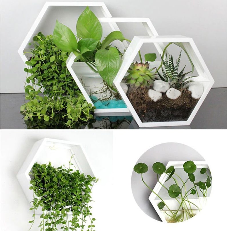 Wall Planter Indoor Hexagon Wall Hanging Planter Etsy