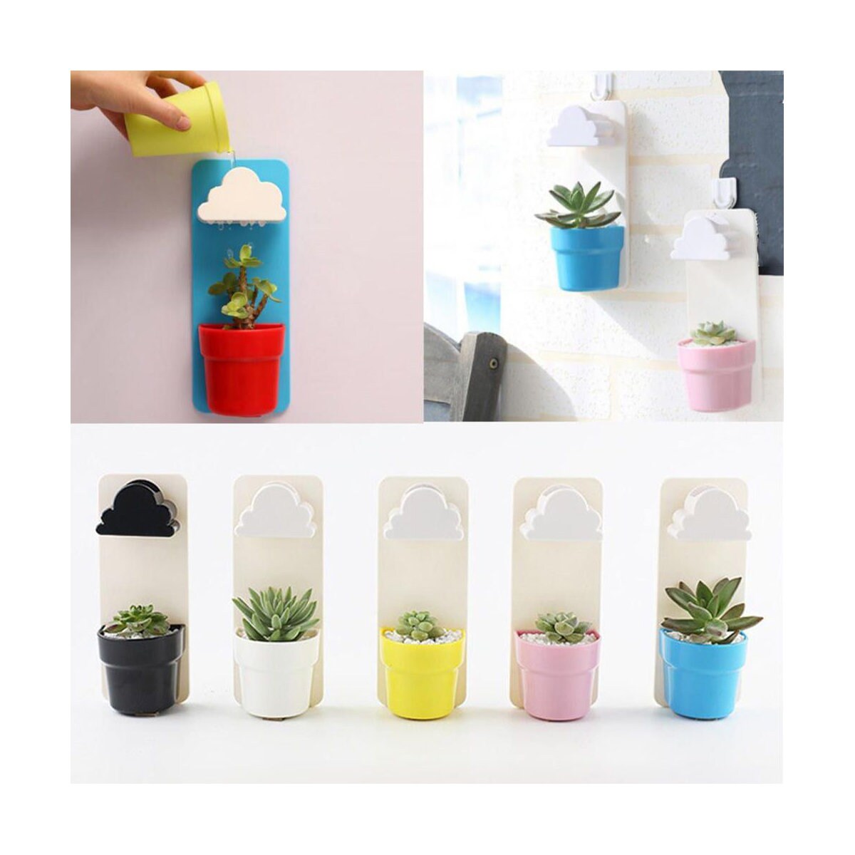 wall hanging succulent planter