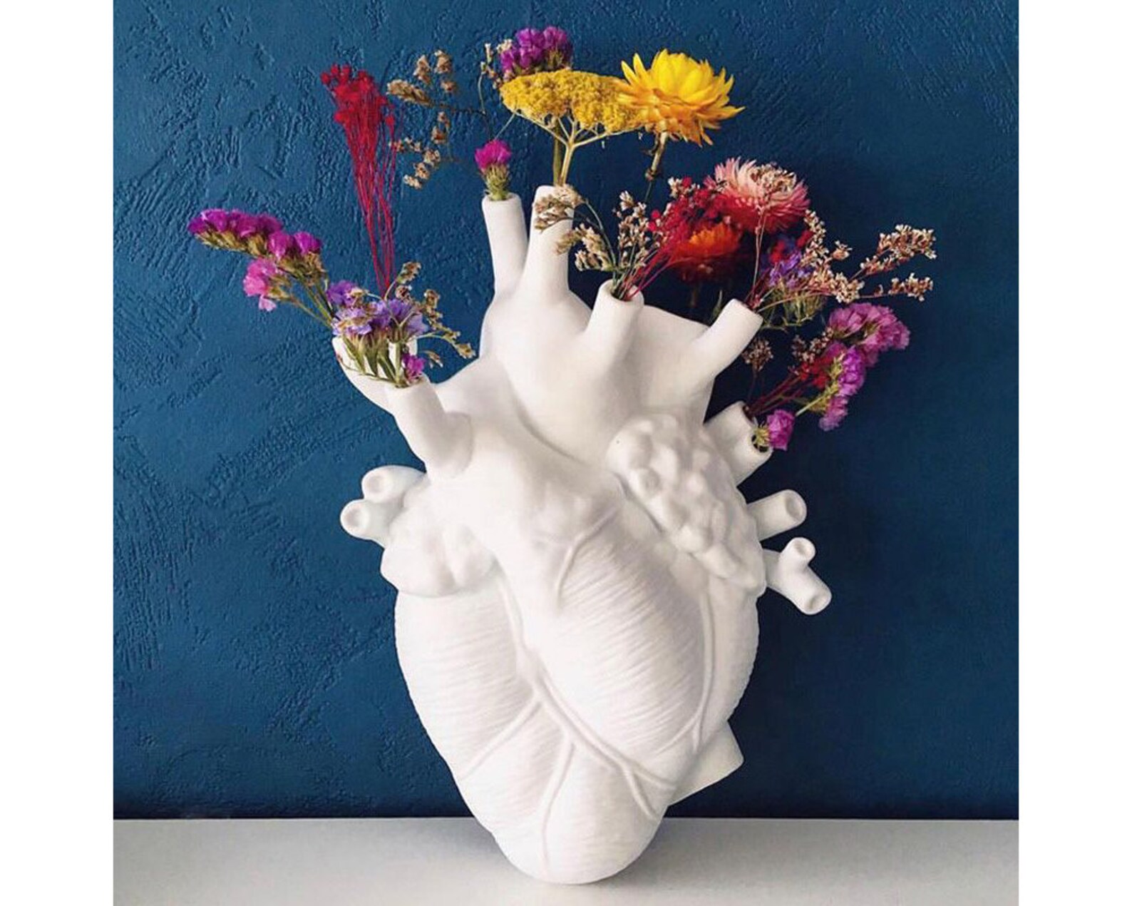 Exclusive Anatomical Heart Vase Anatomical Vase Cardiologist Etsy
