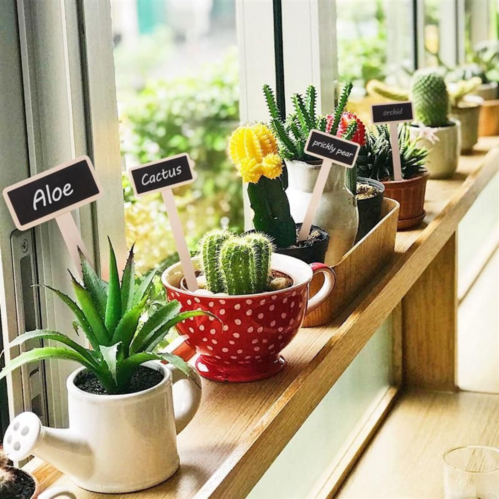 20 Pcs Chalkboard Signs Mini Plants Sign Fresh Herbs Signs Etsy