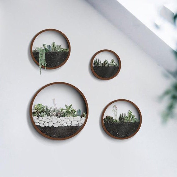 Wall Mounted Glass Terrarium Wall Design Ideas