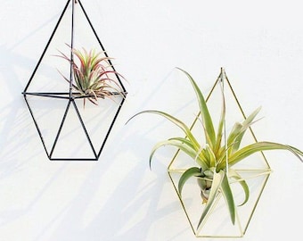 Geometric Hanging Air Plants Rack Holder Triangle Flower Container Home Decor