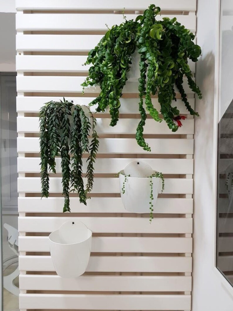 Self Watering Hanging Planter Indoor Wall Planter Indoor