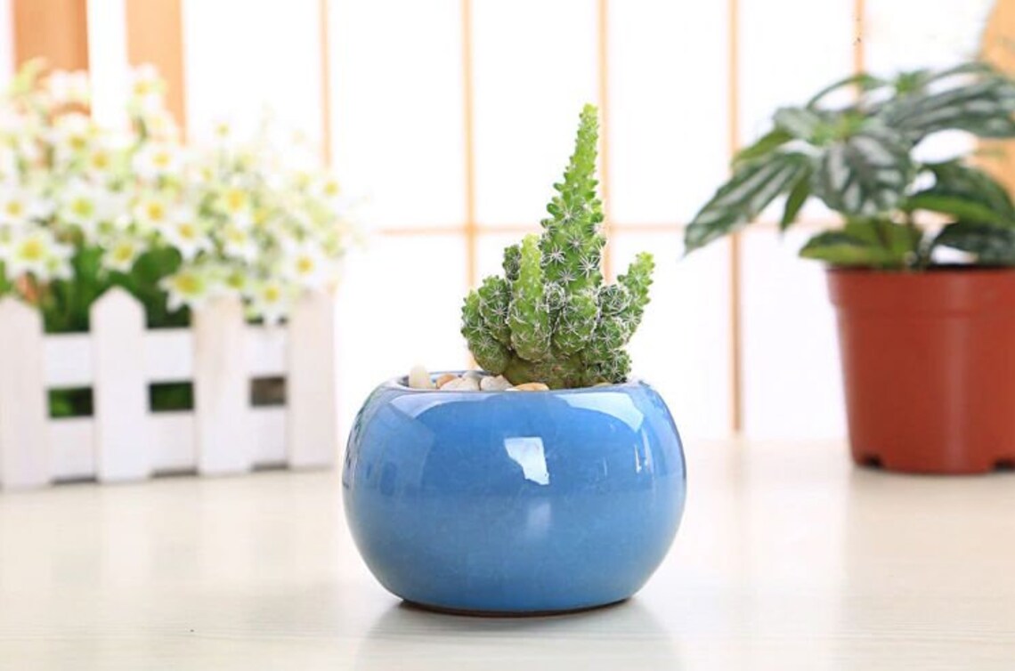 small ceramic planters