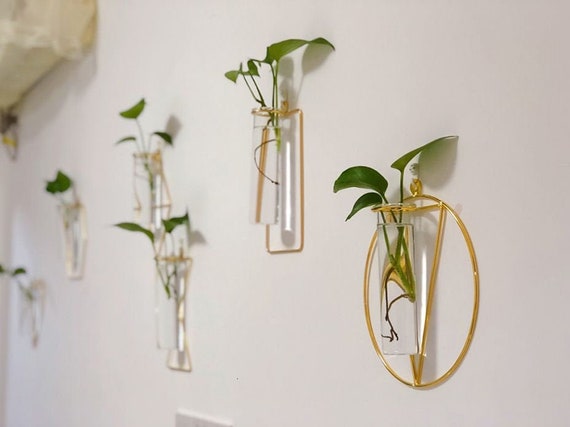 Wall Hydroponic Vase Hanging Planter - Hanging Wall Vase Wall Hydroponic Vase Hanging Planter - Hanging Wall Vase
