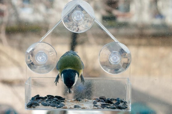 Compact Hanging Bird Feeder Window Bird Feeder Acrylic Glass Etsy