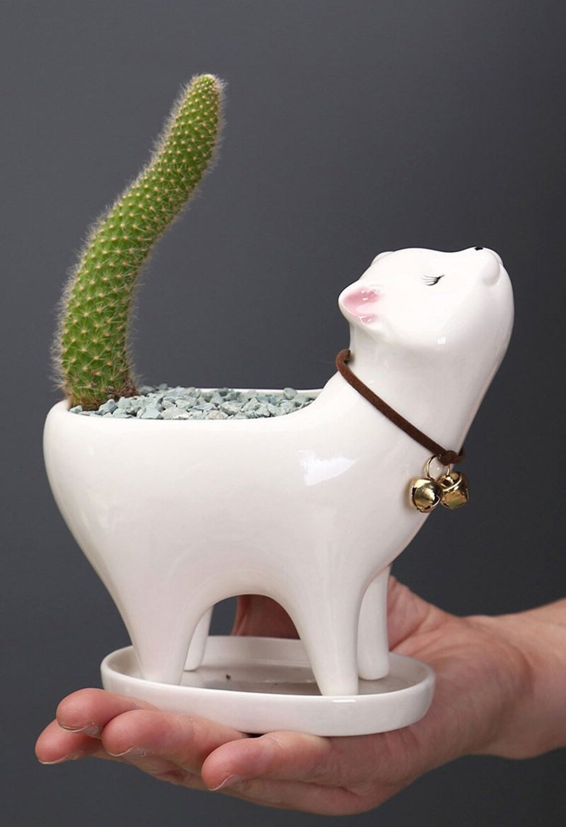 Cat Planter With a Saucer Kitten Ceramic Planter Animal Etsy