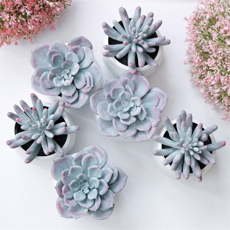 Fake Succulents in Pots Artificial Succulents Korean Faux Etsy