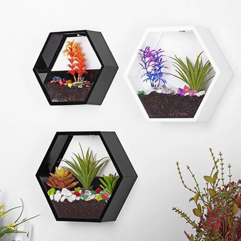 Wall Planter Indoor Hexagon Wall Hanging Planter Etsy