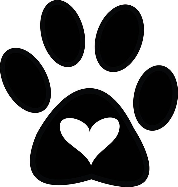 belgian tervuren rescue