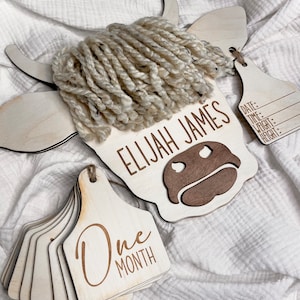 Highland cow sign, western birth announcement, birth stat sign, cow head baby name, gift for baby shower, cow tag sign, cow head door hanger
