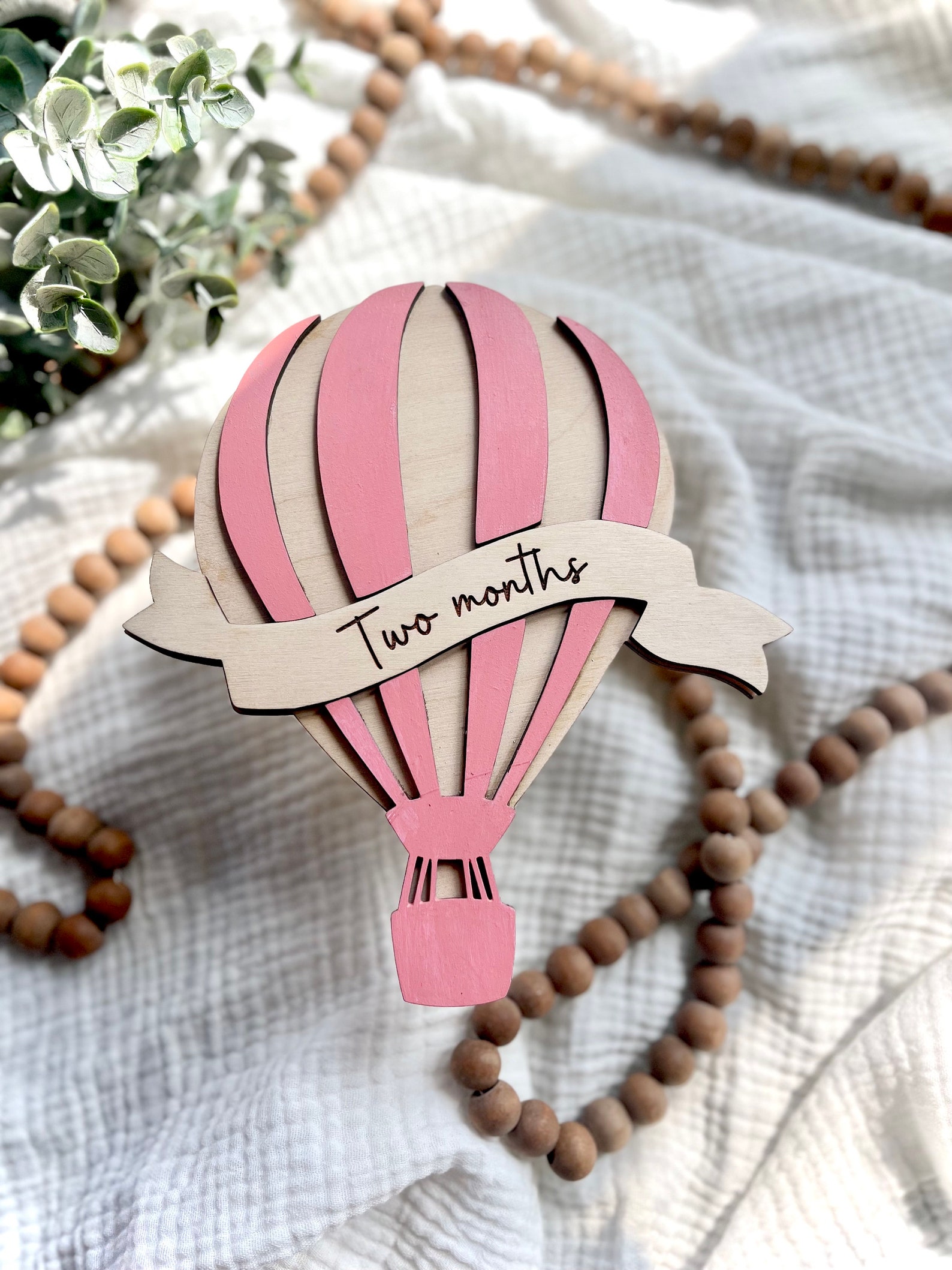 Baby Monthly Milestone Sign | Hot Air Balloon Nursery Decor | First ...
