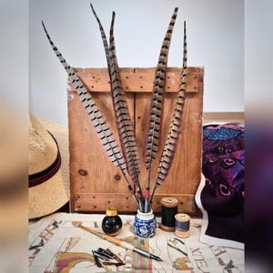 Extra large pheasant feather quill with vintage nib
