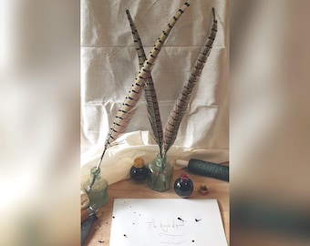 Pheasant feather calligraphy quill dip pen with vintage nib