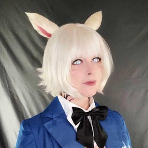 Cat Cosplay Ears
