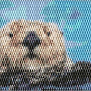 Sea Otter