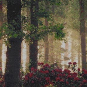 Puede incluir: Una impresión de arte digital que muestra una escena de bosque denso con troncos de árboles altos y oscuros y follaje verde exuberante. En primer plano, un grupo vibrante de flores de rododendro rojo oscuro florece bajo una luz dorada.