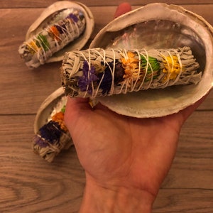 Abalone shells set