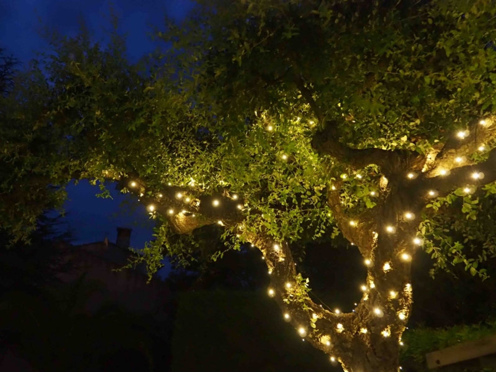 Guirlande lumineuse
