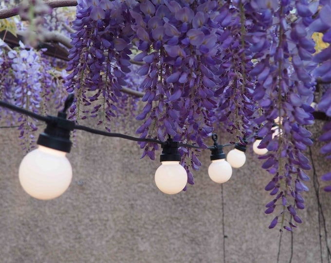 Festive Guinguette Garland 12m Connectable 40 white or multi-colored lamps