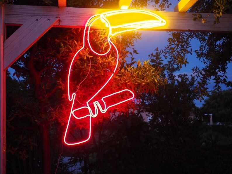 May include: A neon toucan sign with a red body and yellow beak, hanging from a wooden pergola. The sign is lit up and glowing brightly against a dark background.