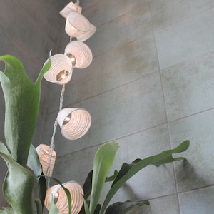 Peut inclure: Une guirlande de lanternes en papier blanc avec des lumières à l'intérieur, suspendue au plafond d'une salle de bain avec des plantes vertes.