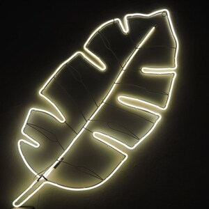 May include: A white neon light shaped like a tropical leaf. The light is on a dark background.