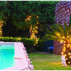 Könnte beinhalten: Ein Schwimmbad mit einem Palmenbaum und Lichterketten im Hintergrund. Der Pool ist von einer Steinterrasse und üppigem Grün umgeben.